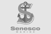 Senesco logo